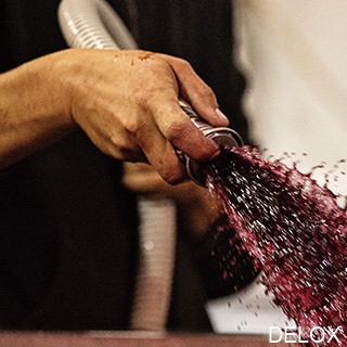 1593660420548864.jpg M33.jpg